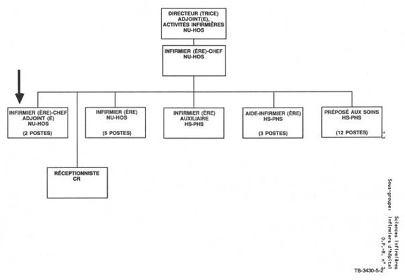 Organigramme qui illustre le lien hiérarchique pour un infirmier-chef adjoint (NU HOS). Version textuelle ci-dessous: