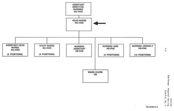 Organizational chart illustrating the reporting relationship for Head Nurse NU-HOS. Text version below: