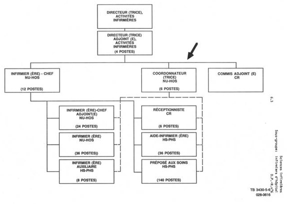 Organigramme qui illustre le lien hiérarchique pour un pour un coordonnateur (NU HOS). Version textuelle ci-dessous: