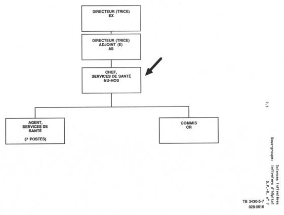 Organigramme qui illustre le lien hiérarchique pour un chef, services de santé (NU HOS). Version textuelle ci-dessous: