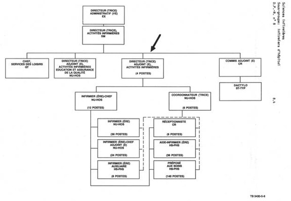 Organigramme qui illustre le lien hiérarchique pour un directeur adjoint, activités infirmières (NU HOS). Version textuelle ci-dessous: