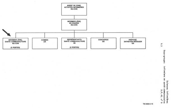 Organigramme qui illustre le lien hiérarchique pour un infirmier en santé communautaire (NU CHN). Version textuelle ci-dessous: