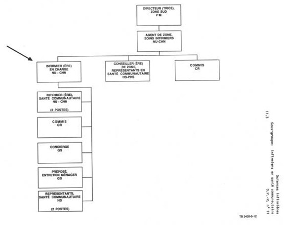 Organigramme qui illustre le lien hiérarchique pour un infirmier en charge (NU CHN). Version textuelle ci-dessous: