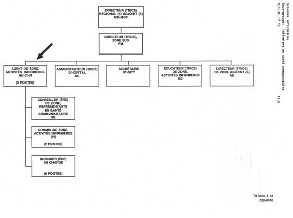 Organigramme qui illustre le lien hiérarchique pour les agents de zone, activités infirmières (NU CHN). Version textuelle ci-dessous: