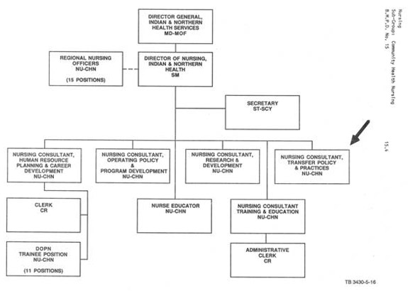 Organizational chart illustrating the reporting relationship for Nursing Consultant Transfer Policy and Practices NU-CHN. Text version below: