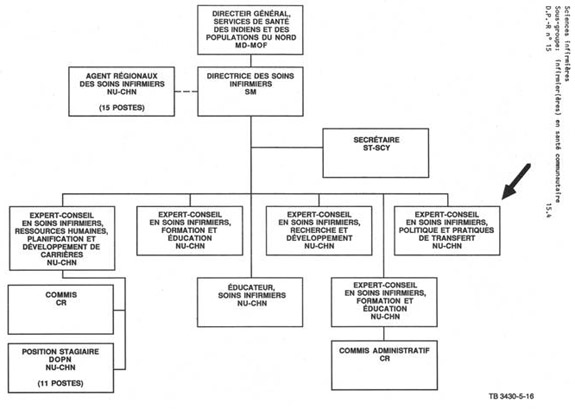 Organigramme qui illustre le lien hiérarchique pour l'expert-conseil en soins infirmiers, politique et pratiques de transfert (NU CHN). Version textuelle ci-dessous: