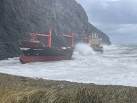 Image described above