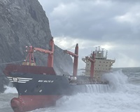 Image described above