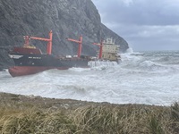 Image described above