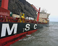 Image described above