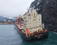 Image described above