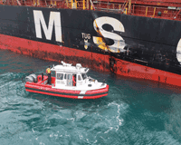 Image described above