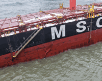 Image described above