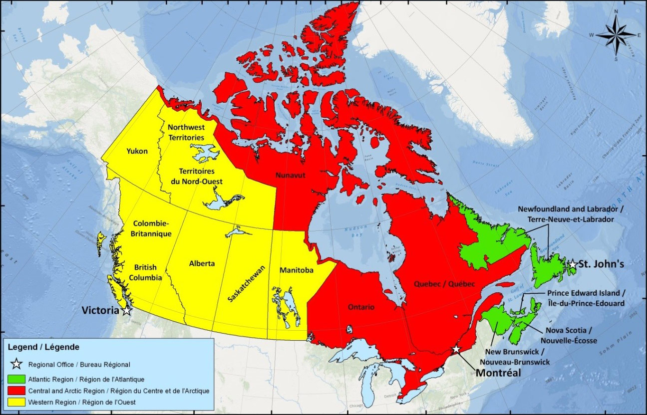 Image described below