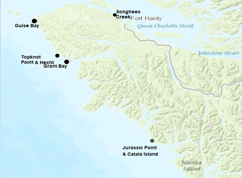 Image décrite ci-dessous