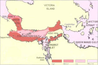 Image described below