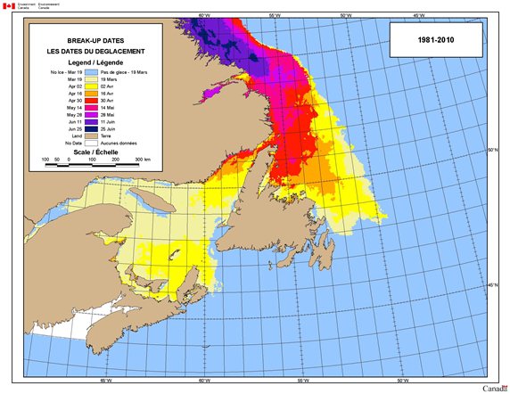 Image described below