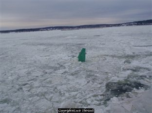 Image décrite ci-dessous