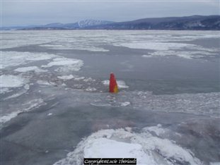 Image décrite ci-dessous