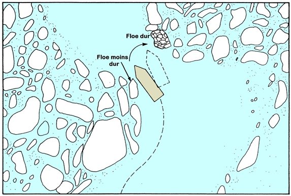 Image décrite ci-dessous