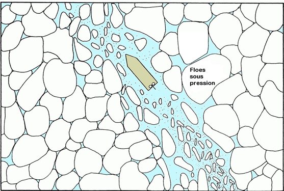 Image décrite ci-dessous