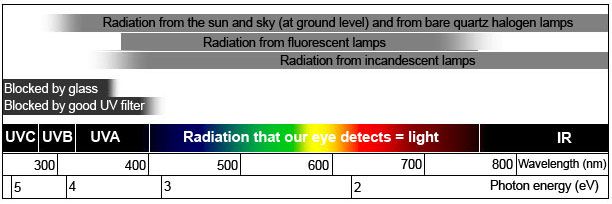 Light Intensity Chart