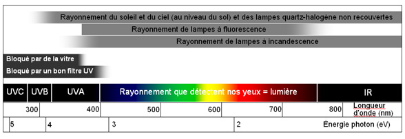 Échelle de la lumière, ultraviolet et infrarouge.