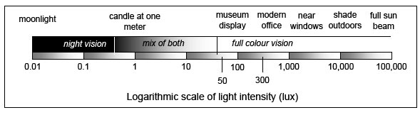 Logarithmic scale of light intensity (lux).