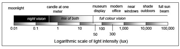 Lux Measurement Chart