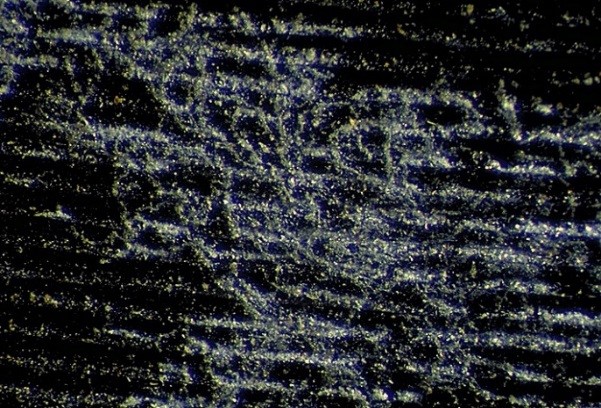 Image au microscope de la surface dégradée d’un disque d’aluminium à revêtement de nitrate de cellulose