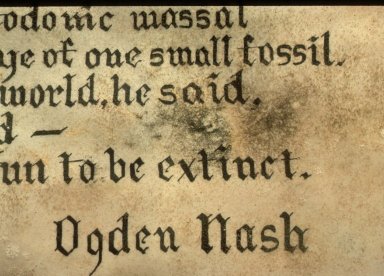 Une tache de moisissure verte et noire est visible entre deux lignes de texte sur un parchemin.