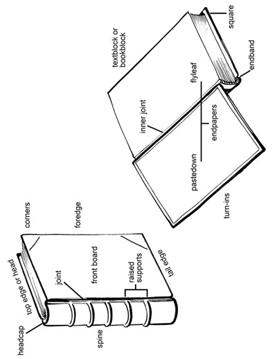 Diagram of a book labelled with the parts of the book.