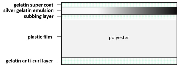 Typical structure of polyester film: gelatin supercoat, silver gelatin emulsion, subbing layer, plastic film (polyester) and gelatin anti-curl layer