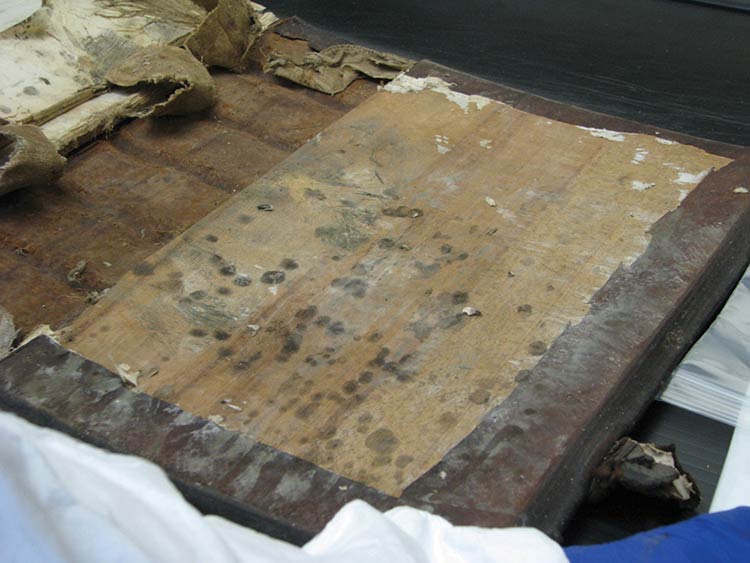 Interior of the cover of the Martyrs Mirror book before mould remediation