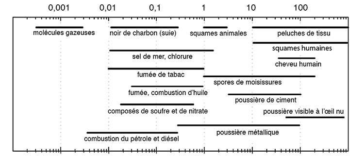 Origines des moisissures - On vous explique quels facteurs sont