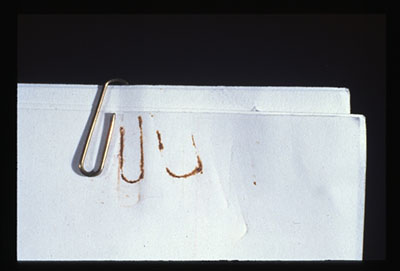 Paper stained by corrosion of a steel paperclip.