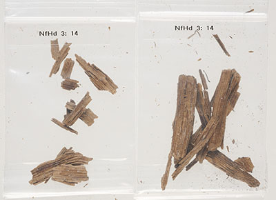 Fragments de bois archéologique conservés dans des sacs de polyéthylène avec fermeture à glissière.