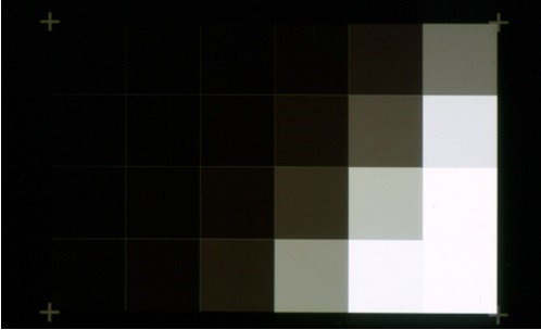 Scan of greyscale target used for establishing dynamic range