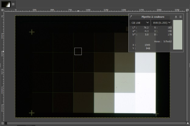 Capture d’écran de la cible en niveaux de gris numérisée échantillonnée pour les valeurs de couleur à l’aide du logiciel d’édition d’images GIMP.