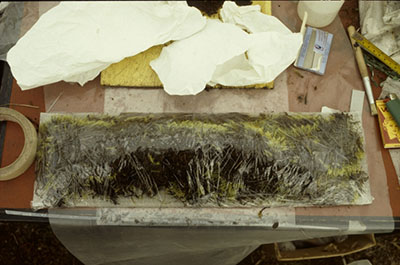 Fragile wet wooden objects are covered in a layer of sphagnum moss and enclosed in plastic wrap.