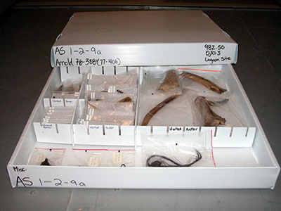  Objects stored in a box with dividers