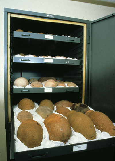 Large, coarse earthenware vessels held securely on a storage shelf.