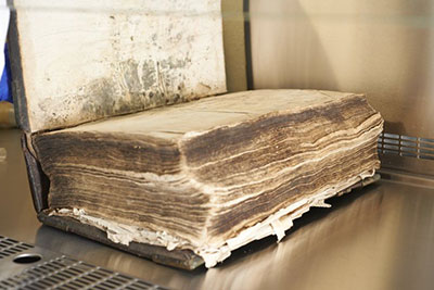 Mould on a book.