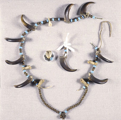 A Sarcee bear claw necklace after conservation treatment.