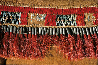 Detail of a moccasin with insect damage to the decorative quillwork and to some of the caribou hair tufts.