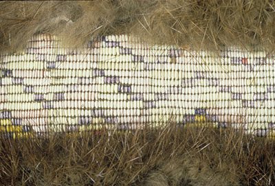 Dyed quillwork on a fur object, showing extensive light fading.