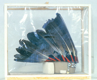 A storage mount and dust protection box for an eagle feather headdress.