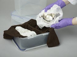 Silver object, tissue paper, Pacific Silvercloth and a gasketed plastic box.