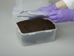 Wrapped object being placed inside a gasketed plastic box.