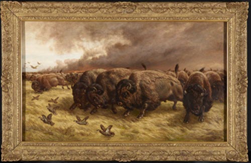 Painting entitled The Buffalo Stampede.
